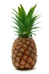 215,043 Pineapple Stock Photos - Free & Royalty-Free Stock Photos from Dreamstime - Page 7