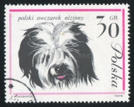 17,021 Sheep Dog Stock Photos - Free & Royalty-Free Stock Photos from Dreamstime - Page 3
