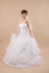 104,953 White Veil Stock Photos - Free & Royalty-Free Stock Photos from Dreamstime