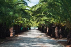 Landscapes stock photo. Image of blue, early, beautiful - 17017752