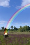 2,324 Pot Rainbow Stock Photos - Free & Royalty-Free Stock Photos from Dreamstime