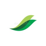 Modern Group Team Green Nature Leaf Logo Design Stock Vector - Illustration of company, vector: 174577637