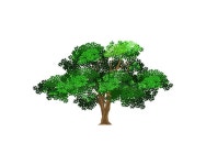 Virgin Forest Stock Illustrations – 505 Virgin Forest Stock Illustrations, Vectors & Clipart - Dreamstime - Page 3