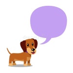 Vector Cartoon Character Dachshund Dog And Speech Bubble Stock Vector - Illustration of brown, friendly: 181559259
