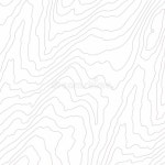 Wooden Wavy Pattern. Tree Fiber, White Wood Grain Texture. Dense Lines. Vector Stock Vector - Illustration of pattern, print... 