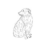 Sheep dog illustration stock vector. Illustration of element - 321936338