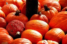 Mark Liedel (Kunstler) - Photographer profile