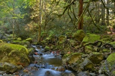456,021 Creek Stock Photos - Free & Royalty-Free Stock Photos from Dreamstime - Page 5