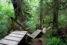 Great door stock image. Image of next, open, metal, surface - 418777