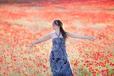 Poppy Fairy in a Grain Field Stock Photo - Image of bouquet, cheerful: 43964366 Poppy Fairy In A Grain Field Stock Photo - Image... 