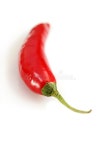 51,518 Chili Macro Stock Photos - Free & Royalty-Free Stock Photos from Dreamstime
