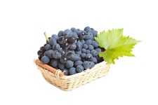 Basket Black Grapes stock photo. Image of basket, view - 22345510