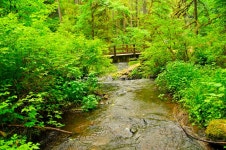 Oregon water fall stock photo. Image of outdoors, beautiful - 11285786