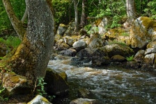 Creek stock image. Image of angel, summer, nature, hair - 964313