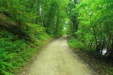 Diverging Paths stock image. Image of junction, pavement - 34283065