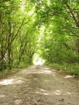 134,671 Light Tunnel Stock Photos - Free & Royalty-Free Stock Photos from Dreamstime
