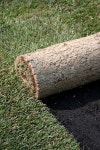 32,891 Grass Carpet Stock Photos - Free & Royalty-Free Stock Photos from Dreamstime