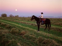 Jaypmorgan - Photographer profile