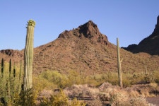 Sahuaro National Monument stock image. Image of secenery - 947001