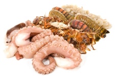 Fruits stock photo. Image of cranberry, currant, malpighia - 12421032