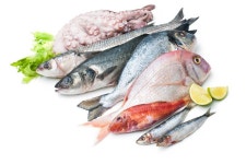 Fresh catch stock image. Image of market, crab, head - 24357047