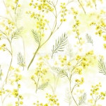 Mimosa Stock Illustrations – 11,041 Mimosa Stock Illustrations, Vectors & Clipart - Dreamstime