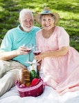 Picnic Seniors - in Love stock image. Image of leisure - 829037 Picnic Seniors - In Love stock image. Image of leisure - 829037
