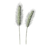 Grasses Stock Illustrations – 68,994 Grasses Stock Illustrations, Vectors & Clipart - Dreamstime
