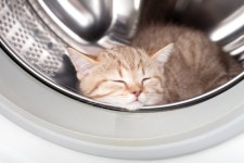 40,817 Laundry Washer Stock Photos - Free & Royalty-Free Stock Photos from Dreamstime