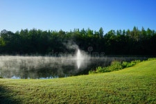4,183 Morning Lake Florida Stock Photos - Free & Royalty-Free Stock Photos from Dreamstime