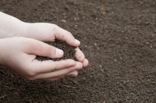 1,432,396 Soil Stock Photos - Free & Royalty-Free Stock Photos from Dreamstime - Page 29