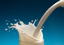 1,601,123 Milk Stock Photos - Free & Royalty-Free Stock Photos from Dreamstime - Page 14