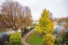 The Square Du Vert-Galant, a Small Popular Garden Paris France Stock Image - Image of landscape, urban: 343276411