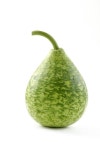 522 Opo Squash Stock Photos - Free & Royalty-Free Stock Photos from Dreamstime