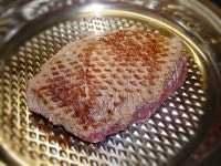 579 Griddled Stock Photos - Free & Royalty-Free Stock Photos from Dreamstime - Page 3