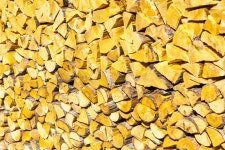 Still life of logs stock image. Image of wood, outdoors - 168470033