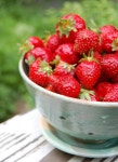 Fruits stock image. Image of color, natural, healthy, diet - 7532335