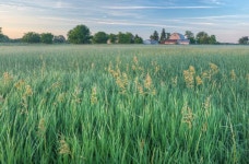 24,154 Michigan Landscape Stock Photos - Free & Royalty-Free Stock Photos from Dreamstime