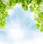 Summer Leaves on Greenery Background Stock Photo - Image of leaves, summer: 38562792