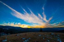 821 Paltinis Stock Photos - Free & Royalty-Free Stock Photos from Dreamstime