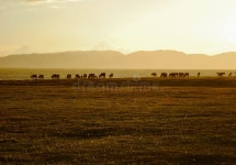 Sunset Over Lake Son-Kul Royalty Free Stock Photography - Image: 6853367 Sunset over Lake Son-Kul
