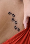Tattoo stock photo. Image of macro, mysterious, contrast - 10555548