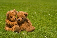 Teddybear Sun Stock Photos - Free & Royalty-Free Stock Photos from Dreamstime