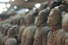 26,776 Warriors Stock Photos - Free & Royalty-Free Stock Photos from Dreamstime