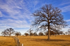 2,070,850 Winter Sky Stock Photos - Free & Royalty-Free Stock Photos from Dreamstime