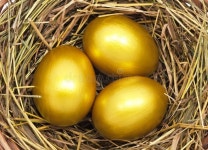 Three golden eggs stock photo. Image of bright, holiday - 23613278