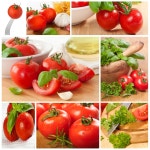 Collage with Bio Vegetables Stock Image - Image of collage, harvest: 22972783 Collage With Bio Vegetables Stock Image - Image of... 