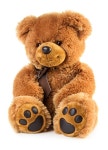 143,716 Bear Teddy Stock Photos - Free & Royalty-Free Stock Photos from Dreamstime