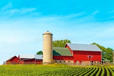4,522,602 Farm Stock Photos - Free & Royalty-Free Stock Photos from Dreamstime - Page 28