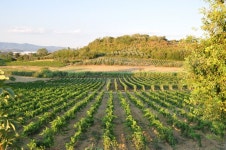 32,003 Tuscany Wine Stock Photos - Free & Royalty-Free Stock Photos from Dreamstime